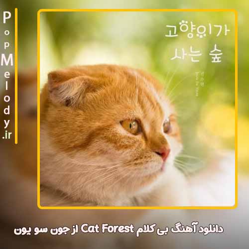 دانلود آهنگ جون سو یون Cat Forest